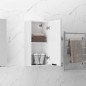 vidaXL Armario de baño de pared blanco brillo 32x20x67 cm vidaXL Armario de baño de pared blanco brillo 32x20x67 cm