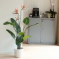 Emerald Planta artificial Strelitzia con maceta y flores 120 cm Emerald Planta artificial Strelitzia con maceta y flores 120 cm