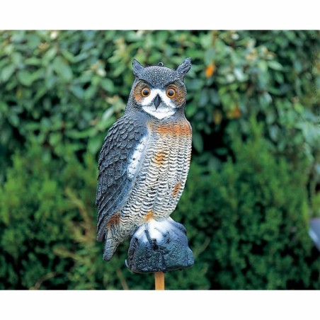 Figura animal en forma de búho, Ubbink 1382530 