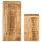 vidaXL Soportes para plantas 2 unidades madera maciza de mango vidaXL Soportes para plantas 2 unidades madera maciza de mango