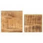 vidaXL Soportes para plantas 2 unidades madera maciza de mango vidaXL Soportes para plantas 2 unidades madera maciza de mango