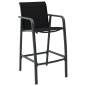 vidaXL Sillas altas de jardín 2 unidades textilene negro vidaXL Sillas altas de jardín 2 unidades textilene negro
