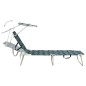 vidaXL Tumbona plegable con toldo de acero estampado de hojas vidaXL Tumbona plegable con toldo de acero estampado de hojas