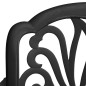 vidaXL Sillas de jardín 2 unidades aluminio fundido negro vidaXL Sillas de jardín 2 unidades aluminio fundido negro