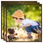 vidaXL Marcos de foto collage de pared/mesa 3 uds bronce MDF 50x50cm vidaXL Marcos de foto collage de pared/mesa 3 uds bronce MDF 50x50cm
