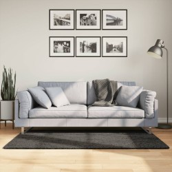 vidaXL Alfombra pelo largo aspecto brillante ISTAN antracita 80x150 cm