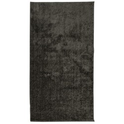 vidaXL Alfombra pelo largo aspecto brillante ISTAN antracita 80x150 cm