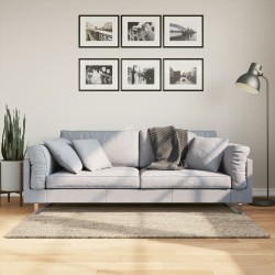 vidaXL Alfombra pelo largo aspecto brillante ISTAN beige 80x150 cm