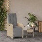 vidaXL Sillón reclinable de jardín con reposapiés ratán PE beige mixto vidaXL Sillón reclinable de jardín con reposapiés ratán PE beige mixto