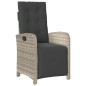 vidaXL Set comedor de jardín 9 pzas cojines ratán sintético gris claro vidaXL Set comedor de jardín 9 pzas cojines ratán sintético gris claro