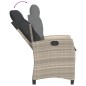 vidaXL Set comedor jardín 7 pzas y cojines ratán sintético gris claro vidaXL Set comedor jardín 7 pzas y cojines ratán sintético gris claro