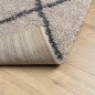 vidaXL Alfombra de pelo largo moderna beige y antracita 80x150 cm vidaXL Alfombra de pelo largo moderna beige y antracita 80x150 cm