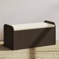 vidaXL Banco de almacenaje y cojín ratán sintético marrón 115x51x52 cm vidaXL Banco de almacenaje y cojín ratán sintético marrón 115x51x52 cm