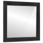 vidaXL Espejo de baño madera maciza de mango y vidrio 55x1x60 cm vidaXL Espejo de baño madera maciza de mango y vidrio 55x1x60 cm