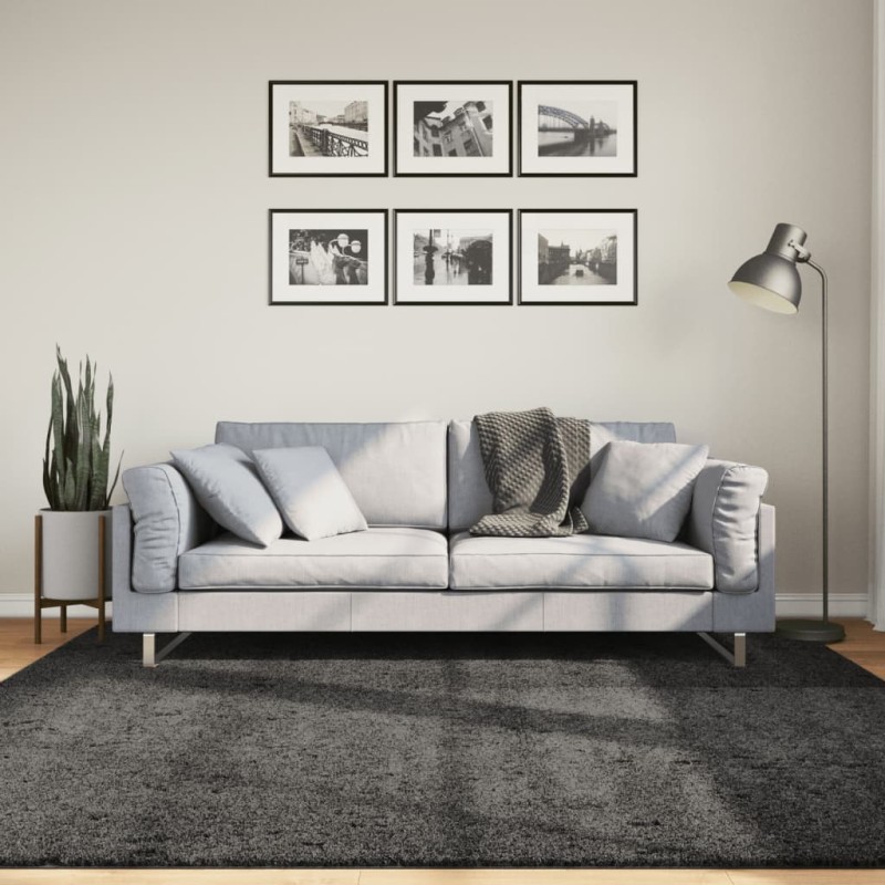 vidaXL Alfombra de pelo largo moderna gris antracita 200x200 cm vidaXL Alfombra de pelo largo moderna gris antracita 200x200 cm
