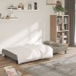 vidaXL Sofá cama de 2 plazas con dos almohadas terciopelo gris claro vidaXL Sofá cama de 2 plazas con dos almohadas terciopelo gris claro