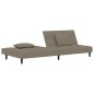 vidaXL Sofá cama de 2 plazas con dos almohadas terciopelo gris claro vidaXL Sofá cama de 2 plazas con dos almohadas terciopelo gris claro