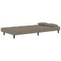 vidaXL Sofá cama de 2 plazas con dos almohadas terciopelo gris claro vidaXL Sofá cama de 2 plazas con dos almohadas terciopelo gris claro