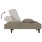 vidaXL Sofá cama de 2 plazas con dos almohadas terciopelo gris claro vidaXL Sofá cama de 2 plazas con dos almohadas terciopelo gris claro