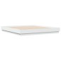 vidaXL Estructura de cama con luces LED blanco 200x200 cm vidaXL Estructura de cama con luces LED blanco 200x200 cm