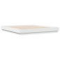 vidaXL Estructura de cama con luces LED blanco 200x200 cm vidaXL Estructura de cama con luces LED blanco 200x200 cm