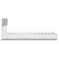 vidaXL Estructura de cama con cabecero y luces LED blanco 120x200 cm vidaXL Estructura de cama con cabecero y luces LED blanco 120x200 cm