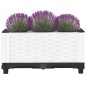 vidaXL Arriate polipropileno 40x40x23 cm vidaXL Arriate polipropileno 40x40x23 cm