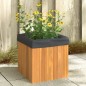 vidaXL Jardinera de madera maciza de acacia 35x35x35 cm vidaXL Jardinera de madera maciza de acacia 35x35x35 cm