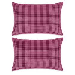 vidaXL Cojines de terciopelo 40x60 cm rosa 2 unidades