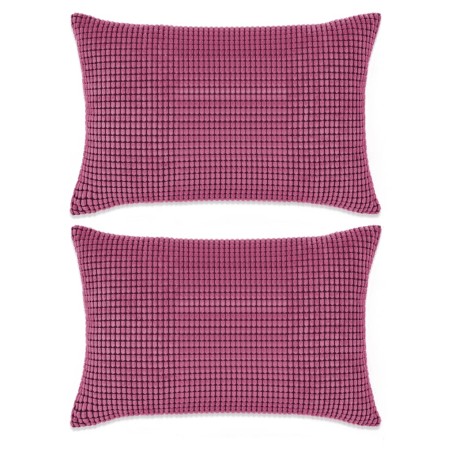 vidaXL Cojines de terciopelo 40x60 cm rosa 2 unidades