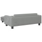 vidaXL Cama de perros con extensión terciopelo gris claro 100x50x30 cm vidaXL Cama de perros con extensión terciopelo gris claro 100x50x30 cm