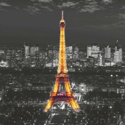 AG Design Mural fotográfico Eiffel In The Night