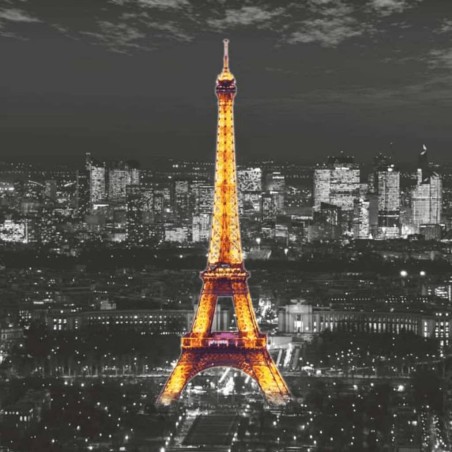 AG Design Mural fotográfico Eiffel In The Night