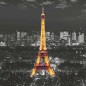 AG Design Mural fotográfico Eiffel In The Night AG Design Mural fotográfico Eiffel In The Night