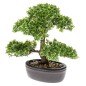 Emerald Mini bonsai artificial Ficus verde 32 cm 420002 Emerald Mini bonsai artificial Ficus verde 32 cm 420002