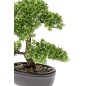 Emerald Mini bonsai artificial Ficus verde 32 cm 420002 Emerald Mini bonsai artificial Ficus verde 32 cm 420002