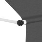 vidaXL Toldo retráctil de operación manual antracita 300 cm vidaXL Toldo retráctil de operación manual antracita 300 cm