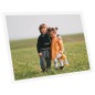 vidaXL Marcos de foto collage de pared/mesa 5 uds blanco MDF 50x70 cm