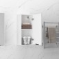 vidaXL Armario de baño de pared blanco 32x20x67 cm vidaXL Armario de baño de pared blanco 32x20x67 cm