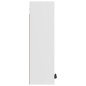 vidaXL Armario de baño de pared blanco 32x20x67 cm vidaXL Armario de baño de pared blanco 32x20x67 cm