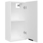 vidaXL Armario de baño de pared blanco 32x20x67 cm vidaXL Armario de baño de pared blanco 32x20x67 cm