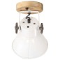 vidaXL Lámparas industriales de pared/techo 2 uds blanca 20x25 cm E27
