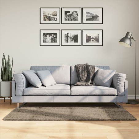 vidaXL Alfombra pelo largo aspecto brillante ISTAN gris 80x150 cm