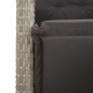 vidaXL Sillón reclinable jardín y reposapiés 2 uds ratán PE gris claro vidaXL Sillón reclinable jardín y reposapiés 2 uds ratán PE gris claro