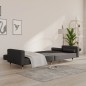 vidaXL Sofá cama de 2 plazas con dos almohadas terciopelo gris oscuro vidaXL Sofá cama de 2 plazas con dos almohadas terciopelo gris oscuro