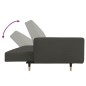 vidaXL Sofá cama de 2 plazas con dos almohadas terciopelo gris oscuro vidaXL Sofá cama de 2 plazas con dos almohadas terciopelo gris oscuro