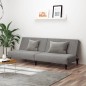 vidaXL Sofá cama de 2 plazas terciopelo gris claro vidaXL Sofá cama de 2 plazas terciopelo gris claro