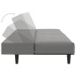 vidaXL Sofá cama de 2 plazas terciopelo gris claro vidaXL Sofá cama de 2 plazas terciopelo gris claro