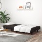 vidaXL Sofá cama de 2 plazas terciopelo negro vidaXL Sofá cama de 2 plazas terciopelo negro