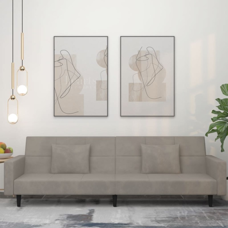 vidaXL Sofá cama de 2 plazas con dos almohadas terciopelo gris claro vidaXL Sofá cama de 2 plazas con dos almohadas terciopelo gris claro